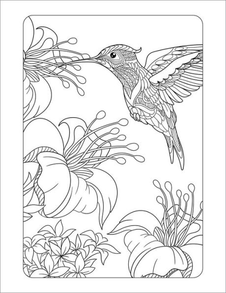 Anxiety Relief Coloring Book For Adults: Mindfulness Coloring To