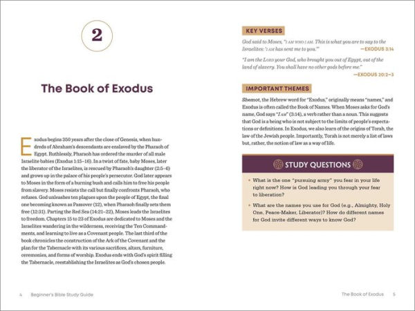 the Beginner's Bible Study Guide: An Introduction to All 66 Books of