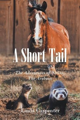 A Short Tail: The Adventures of Sirius, Arabian