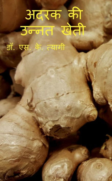 Improved Cultivation of Ginger / अदरक की उन्नत खेती