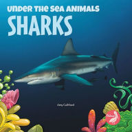 Title: Sharks, Author: Amy Culliford