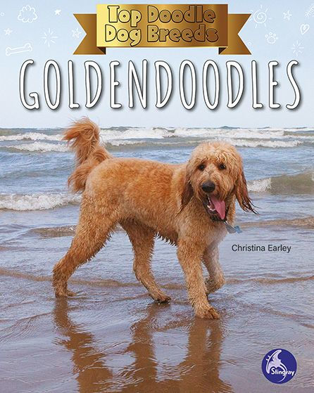 Goldendoodles