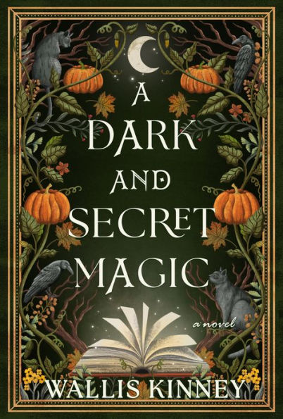 A Dark and Secret Magic: Novel