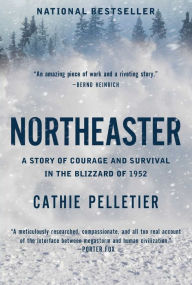 Ebook for dbms by raghu ramakrishnan free download Northeaster: A Story of Courage and Survival in the Blizzard of 1952 by Cathie Pelletier PDF RTF FB2 9798891643796