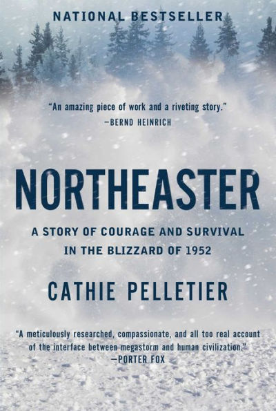 Northeaster: A Story of Courage and Survival the Blizzard 1952