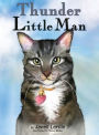 Thunder: Little Man