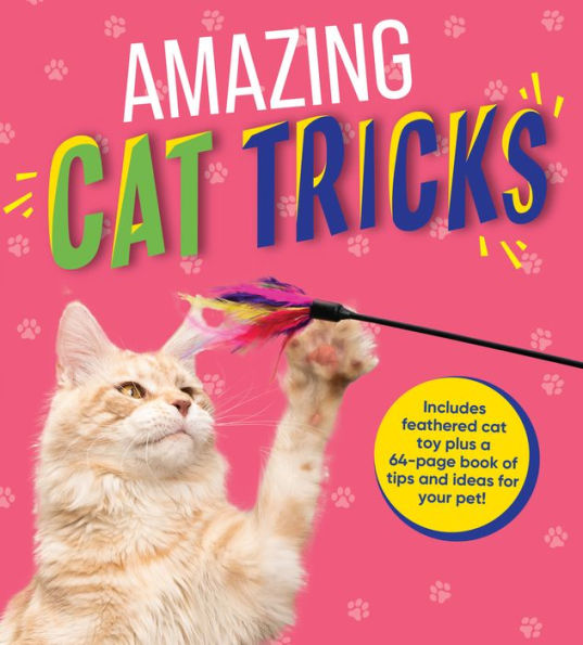Amazing Cat Tricks