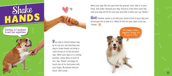 Amazing Dog Tricks