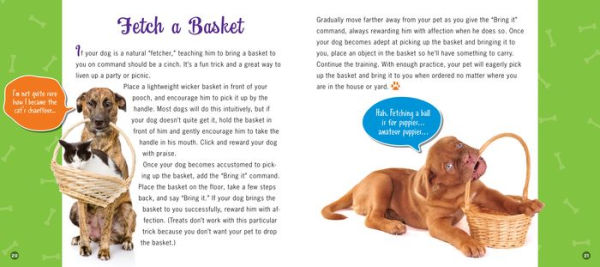 Amazing Dog Tricks