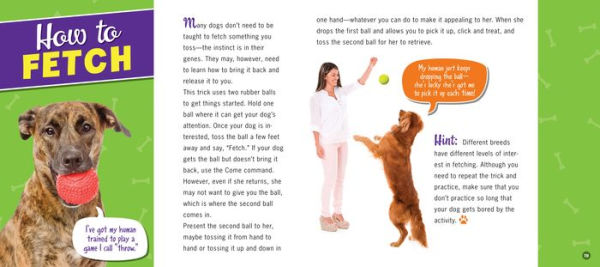 Amazing Dog Tricks