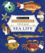 Sticker By Number Vintage Sea Life