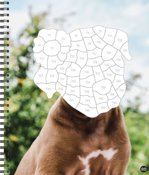 Brain Games Sticker by Number Dog Gone It