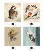Alternative view 4 of Brain Games Sticker By Number Vintage Birds