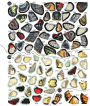 Alternative view 3 of Brain Games Sticker By Number Vintage Butterflies