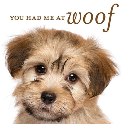 You Had Me at Woof
