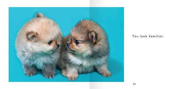 You Had Me at Woof