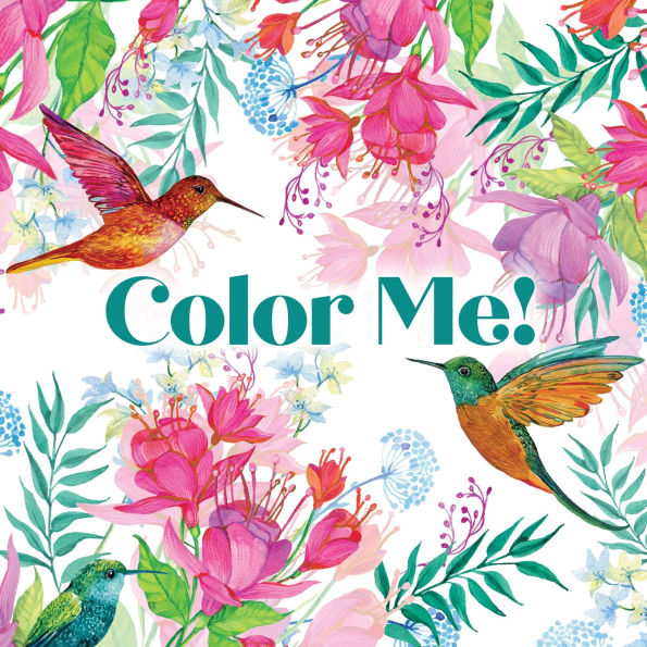 Keepsake Coloring Color Me Humming Bird