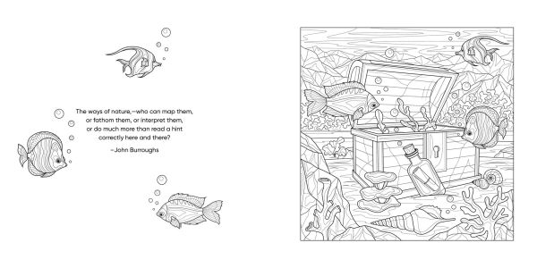 Keepsake Coloring Color Me Humming Bird