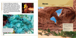 Alternative view 4 of America's National Parks: Natural Treasures of the USA