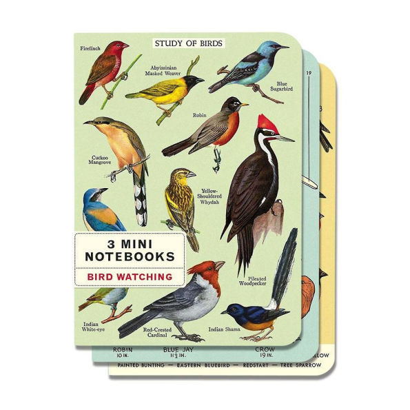 Cavallini & Co. Bird Watching Mini Notebooks