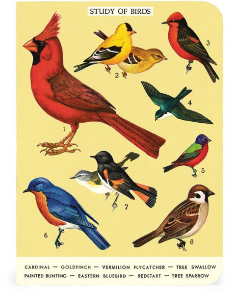 Cavallini & Co. Bird Watching Mini Notebooks