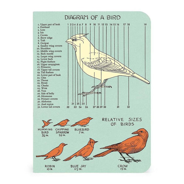 Cavallini & Co. Bird Watching Mini Notebooks