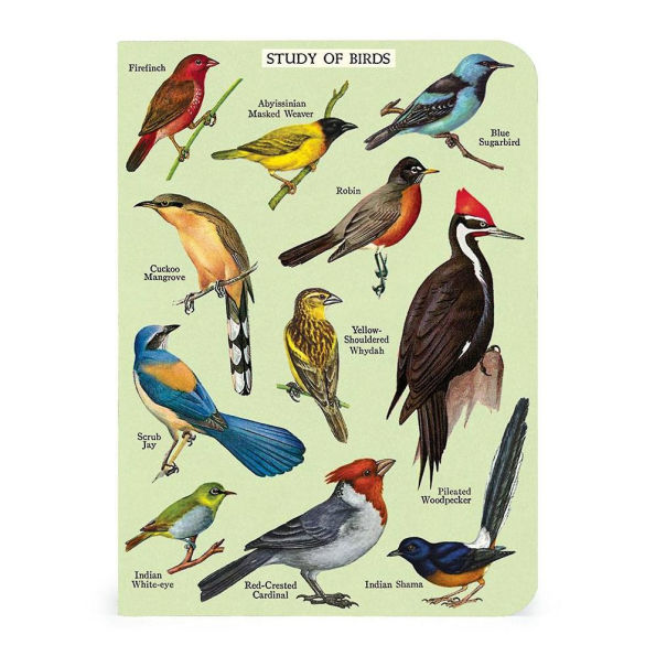 Cavallini & Co. Bird Watching Mini Notebooks