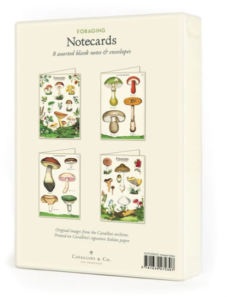 Mushrooms Boxed Notecards