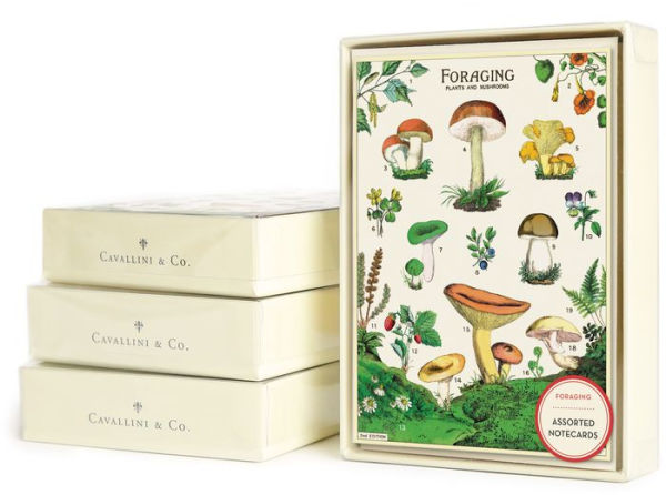 Mushrooms Boxed Notecards