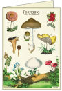 Alternative view 7 of Mushrooms Boxed Notecards