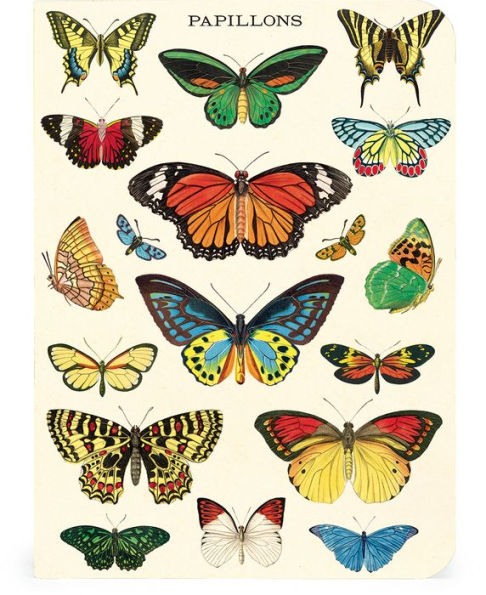 Butterflies Mini Notebooks S/3