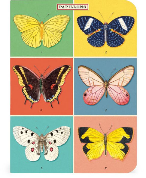 Butterflies Mini Notebooks S/3