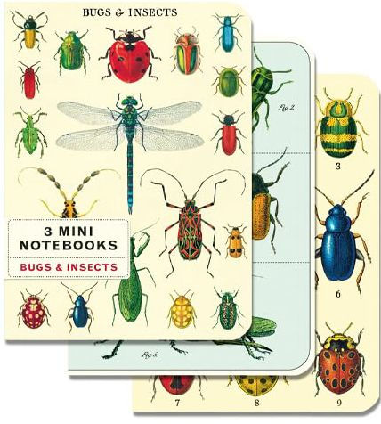 Insects Mini Notebooks S/3