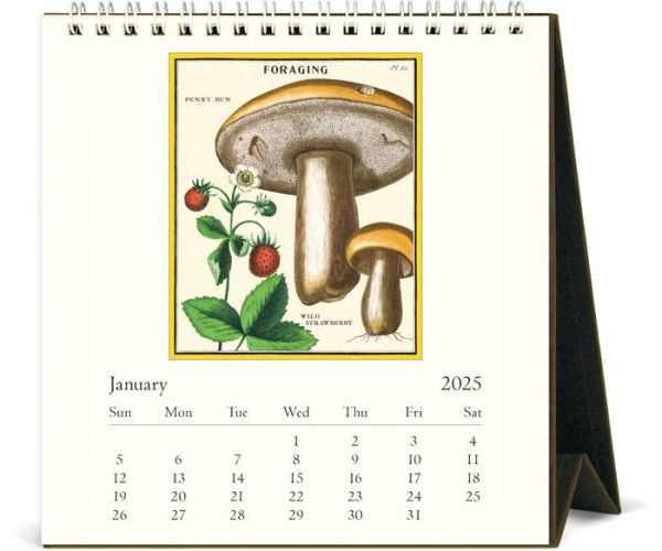 2025 Foraging Desk Calendar