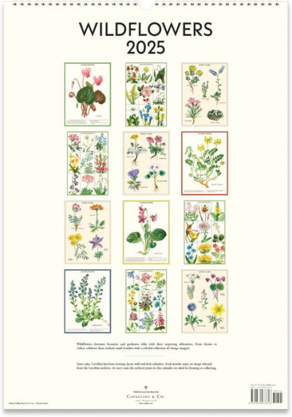 2025 Wildflowers Wall Calendar