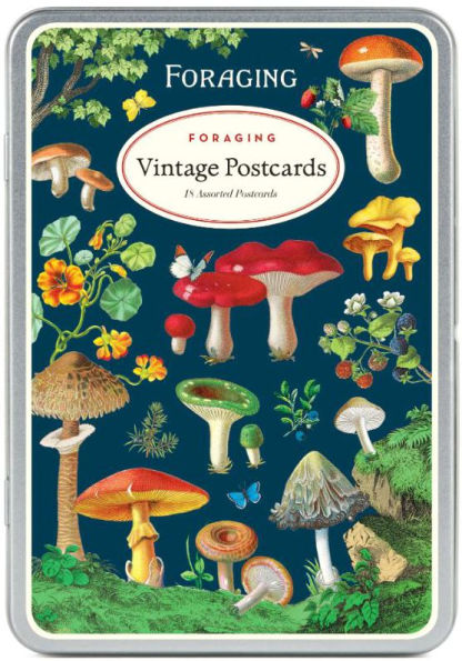 Foraging Vintage Postcard Set