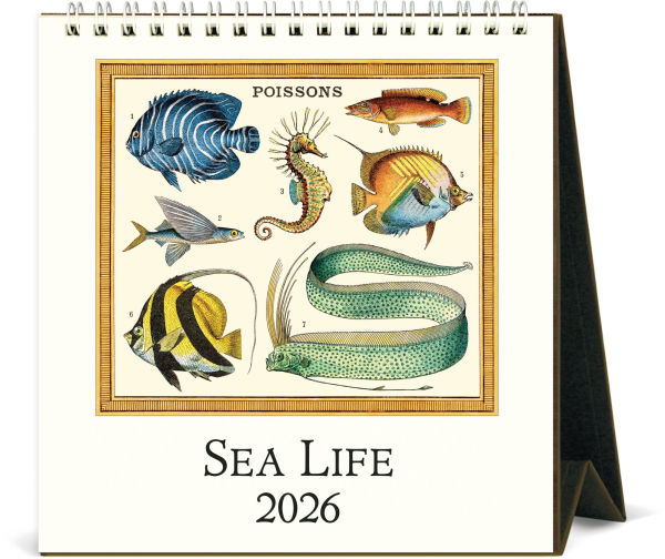 2026 Cavallini Sea Life Desk Calendar