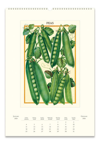 2026 Farmers Market Wall Calendar