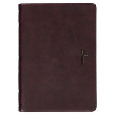 NLT Holy Bible Everyday Devotional Bible for Men New Living Translation, Vegan Leather, Cross Emblem