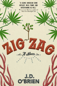 Zig Zag: A Novel