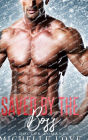 Saved by The Boss: A Doctor Romance