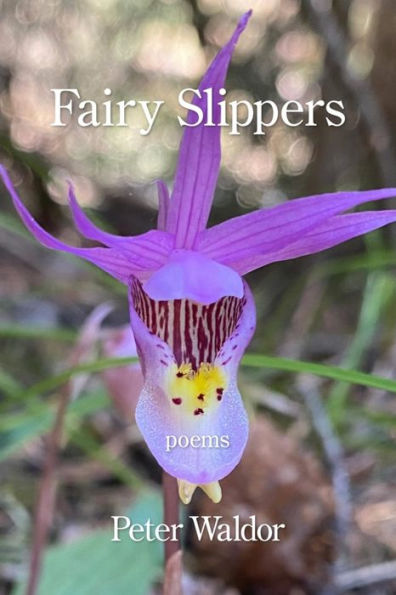 Fairy Slippers