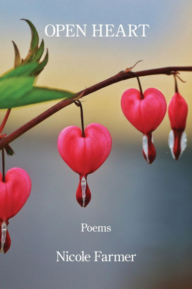 Open Heart