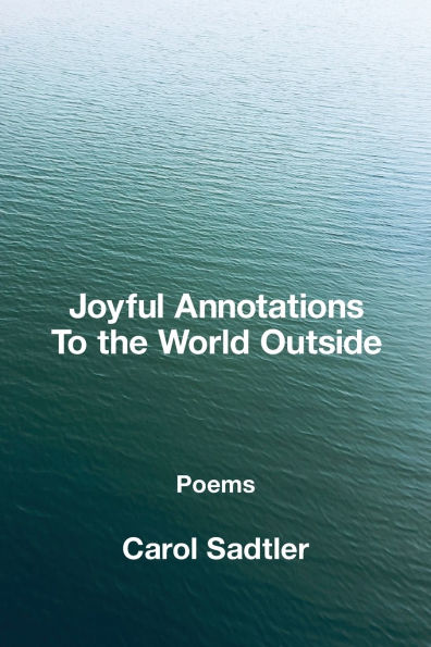 Joyful Annotations to the World Outside