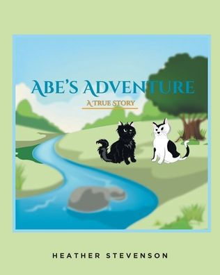 Abe's Adventure: A TRUE STORY