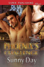 Phoenix's Challenge (Siren Publishing Classic ManLove)