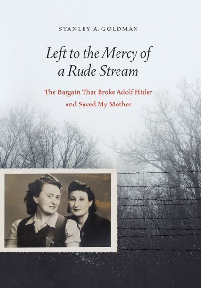 Left to the Mercy of a Rude Stream: The Bargain That Broke Adolf Hitler and Saved My Mother