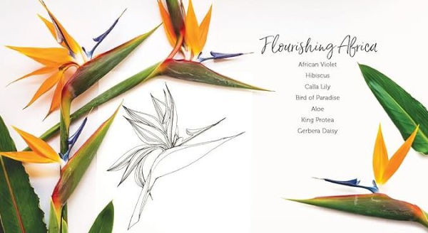 In Bloom: A Step-by-Step Guide to Drawing Lush Florals - An Easy How-to-Draw Flowers Book for Beginners