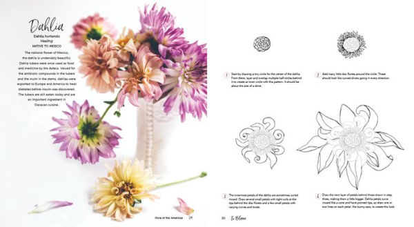 In Bloom: A Step-by-Step Guide to Drawing Lush Florals