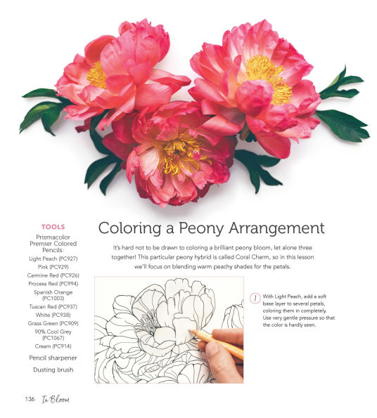 In Bloom: A Step-by-Step Guide to Drawing Lush Florals - An Easy How-to-Draw Flowers Book for Beginners